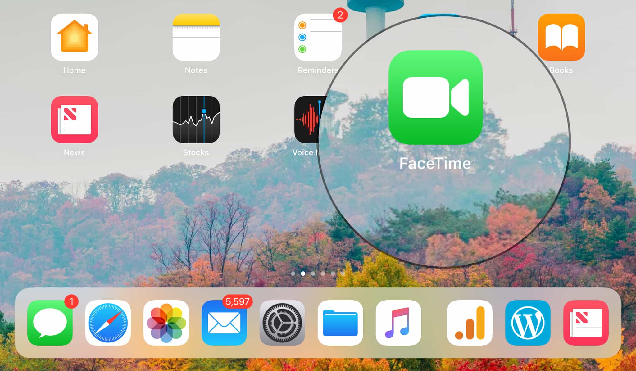 iOS FaceTime Bug